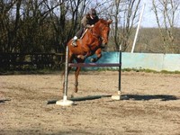 Concours et fete du club 